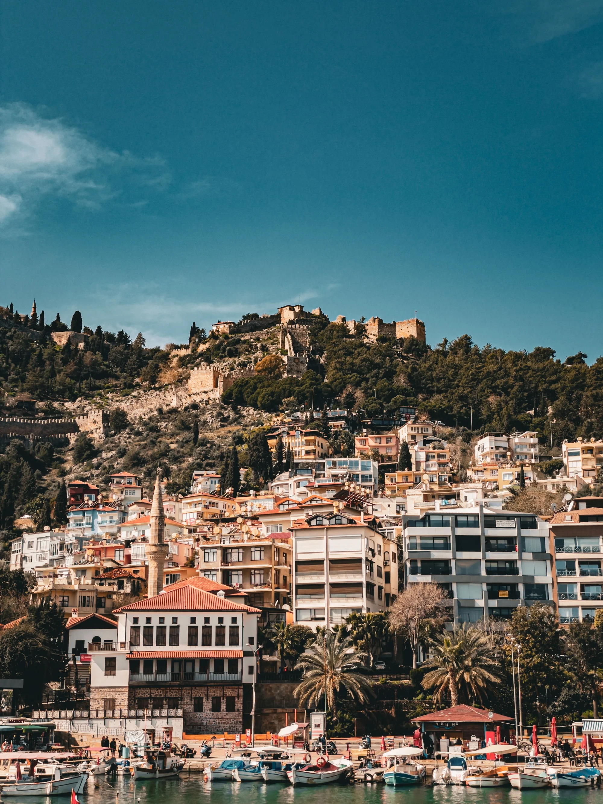 alternatif_kusadasi_gorsel